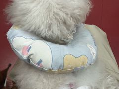 -和它·交个朋友·狗咖猫咖(爱琴海店)