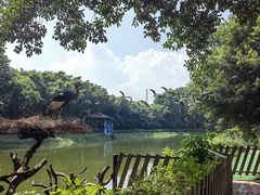 -广州长隆飞鸟乐园