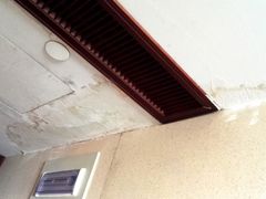 斑驳的房顶-蓝天清水湾国际大酒店