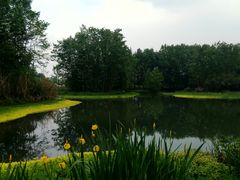 -桤木河湿地公园