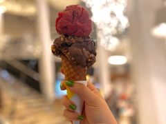 -LUNEURS月乐诗·法式冰淇淋(环贸店)