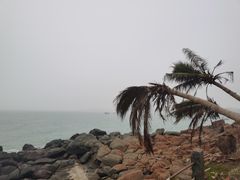 -硇洲岛旅游区