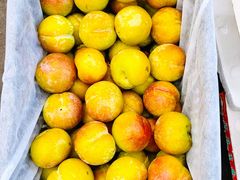 -西郊国际农产品交易中心