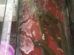 -新疆风味冷水鱼庄(友谊峰路店)