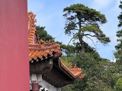 -沈阳市东陵公园