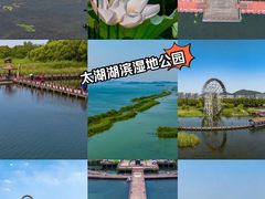 -苏州太湖湖滨国家湿地公园