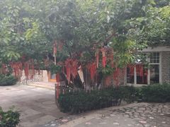 -天毓山庄·餐厅