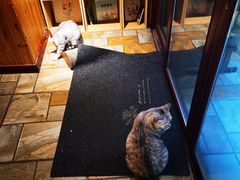 -隅cafe(傅厚岗店)