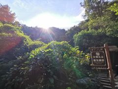 -牛鱼嘴原始生态风景区