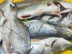 -渔码头食府(蓬莱阁店)