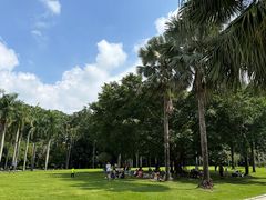 -深圳仙湖植物园