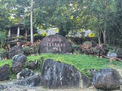 -七仙岭温泉国家森林公园
