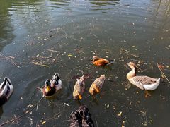 -天目湖涵田半山温泉