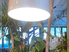 -the rug 飞毯 (朝阳公园店)