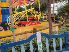 -南宫五洲植物乐园