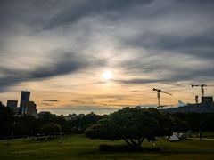 -红花山公园