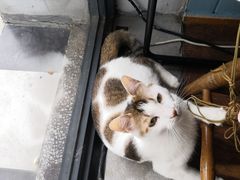 -251#coffee roasters(沿河东路店)