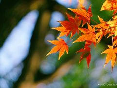 -大宁灵石公园西门票处
