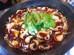 麻辣石锅鱼-都江堰石锅鱼