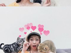 -有喵·猫咖·狗咖·30几只猫10只小狗(岗厦店)