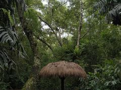 -普洱太阳河森林公园