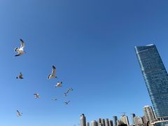 -星海广场