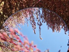 -天津东丽湖风景区