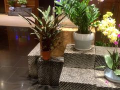 -黔蘑菇四季餐厅(观山湖店)