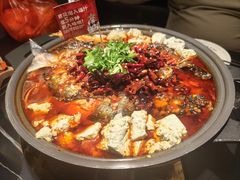 -师烤·豆花烤鱼(广州荔湾扬韬广场店)
