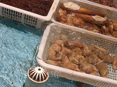 -国惠大酒楼(仓山万达店)
