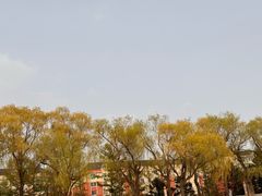 -长春市南湖公园