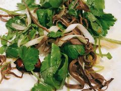 -宏宴·新京菜(望京店)