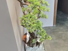 -端艾堂·SPA·艾灸(棕榈泉013店)