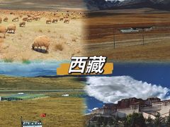 -布达拉宫