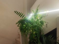 -伊斯坦布尔土耳其清真咖啡餐厅