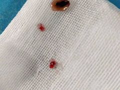 -爱侣宠医·鹦鹉专科·小型哺乳类·异宠专科(灵石路店)