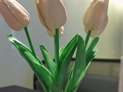 -楚禾宴·家宴(光谷大道店)