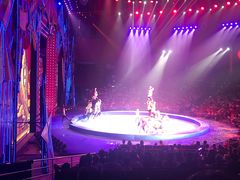 -珠海横琴长隆《卡卡虎奇遇记》