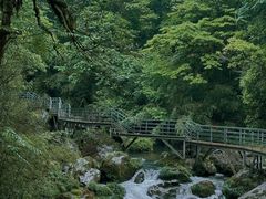 -龙苍沟森林公园