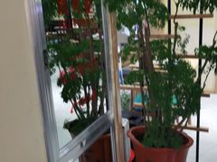 -大同江朝鲜菜•长春地标美食(绿园吾悦广场店)
