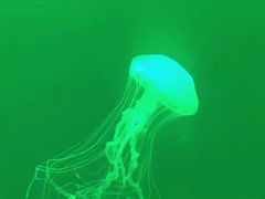 -多彩贵州城极地海洋世界