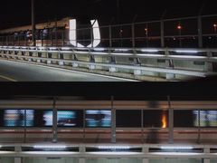 -海堤纪念公园