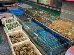 水产区-飞尝蚝·顺德菜·鱼生(顺德总店)