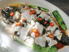 鲜花椒蒸笋壳鱼-德云居