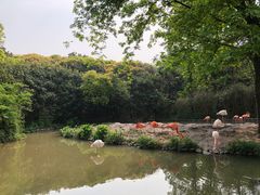 -野生动物园-停车场