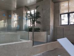 -日航酒店-室内游泳池