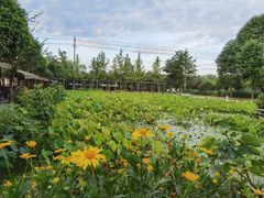 -洪湖家庭农场·团建·露营·会议