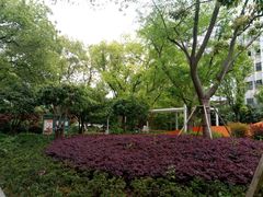 -兰溪青年公园