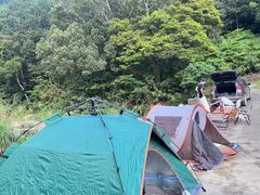 -海南热带雨林国家公园吊罗山景区
