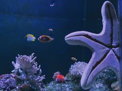 -成都浩海立方海洋公园